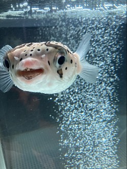楽しみ休日✨室戸水族館