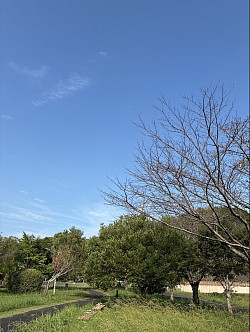 風が気持ちいい季節です✨